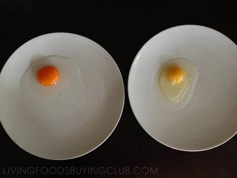 The strongest egg yolk. Светильник желток. Cooked Egg yolk. Strips of Toasts Dip into the Egg yolk. Hard-boiled Egg, yolk leaking out, real photo, detail.