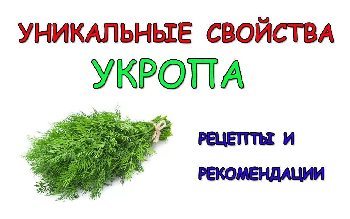 Открытки про укропов. Укроп софт. Укроп Украина. Укроп приложение. Начало укропу