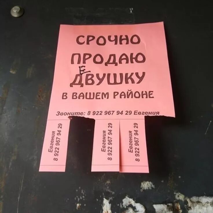 Объявления продается мама Андрея. Объявление продам девочку Злату.