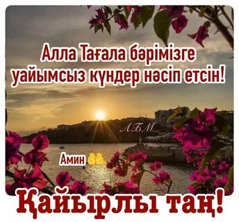 Траннидің суреті аяқталды