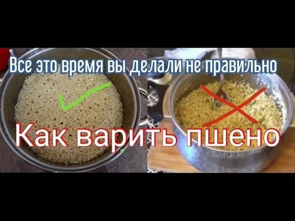 Сколько варить пшено в супе по времени. Как правильно варить пшено. как правильно варить пшено 3к1. сколько варится пшено в супе. пшено как варить сколько варить для рыбалки.