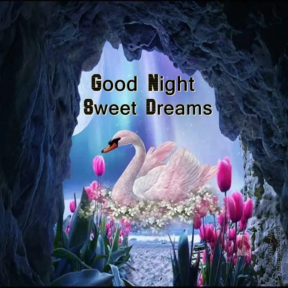 Good Night!. Доброй ночи красивые необычные. Открытки good Night Sweet Dreams. Good Night Sweet Dreams картинки. Good dream перевод