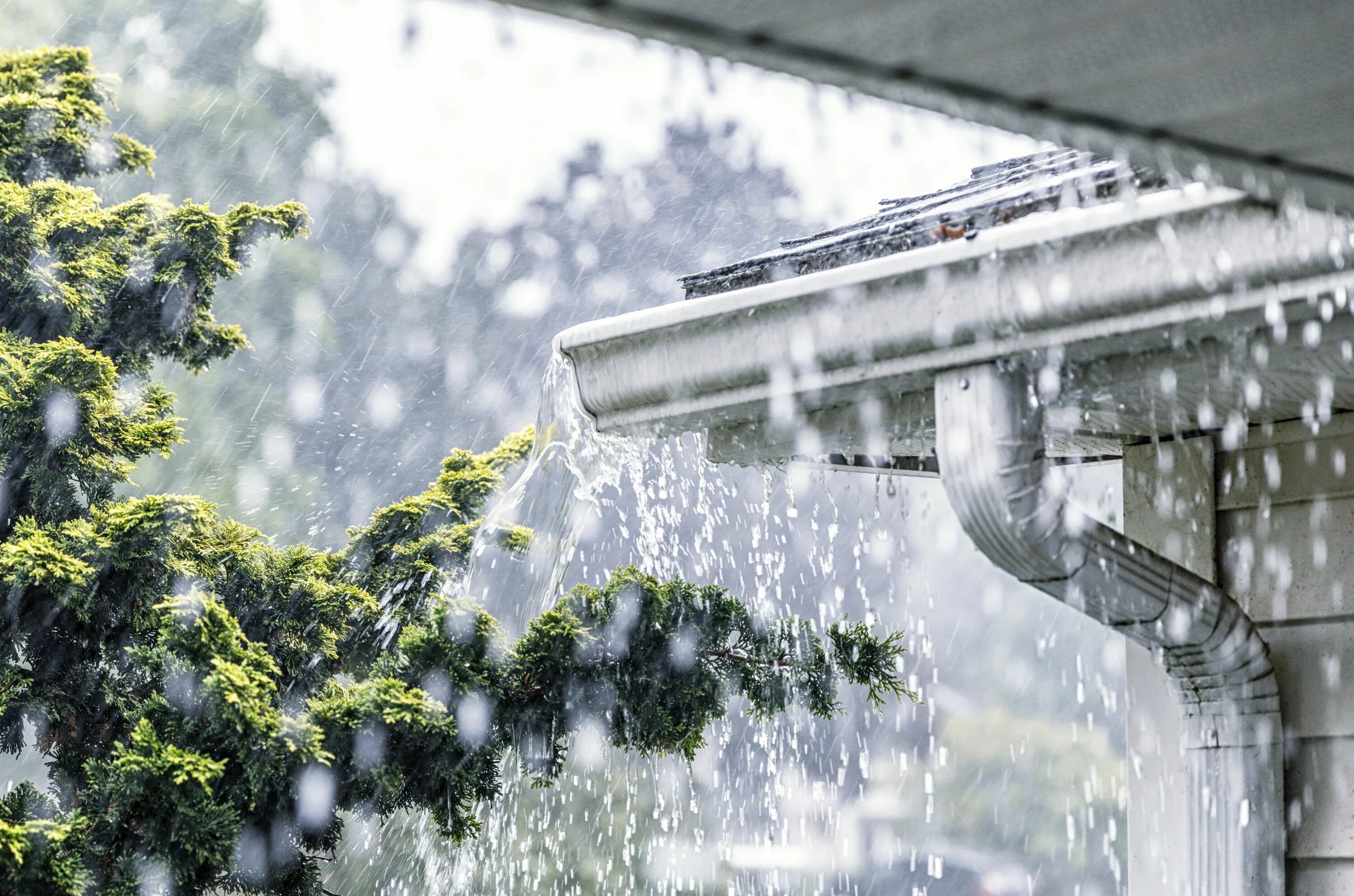 Raining meaning. Дождь по крыше. Ливень по крыше. Сильный дождь по крыше. Дождевая крыша.