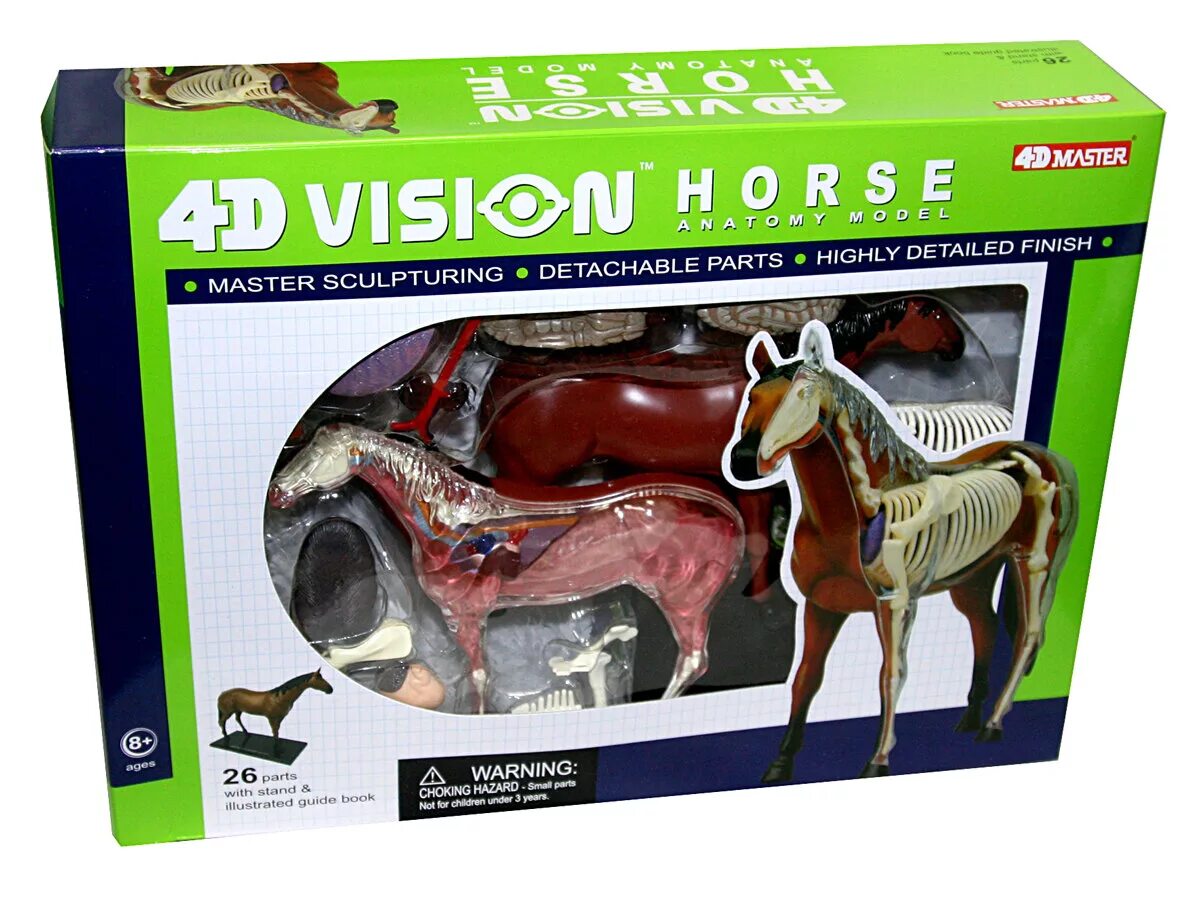 игрушка 4d master 2004. 4d master. 4d master / пазл "анатомическая модель собаки". 4d master. 4d master / пазл "анатомическая модель.