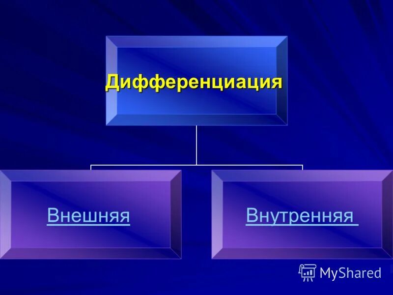 дифференцированное обучение внутренняя внешняя. дифференциация внешняя внутренняя. внутренняя дифференциация. внешняя и внутренняя дифференциация. внутренняя дифференциация.