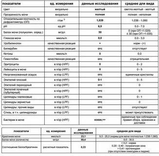Гематурия общий анализ мочи