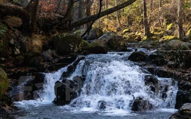 Шкотовские водопады. Водопад медвежий приморский край. Водопад медвежий приморский край. Смольные водопады анисимовка. Кравцовские водопады приморский край.
