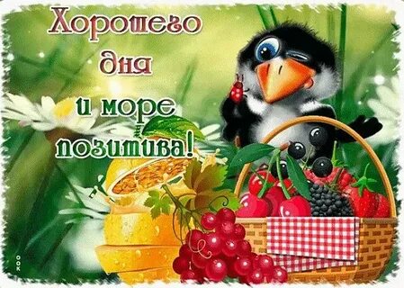 Видео прикольные с пожеланием добра
