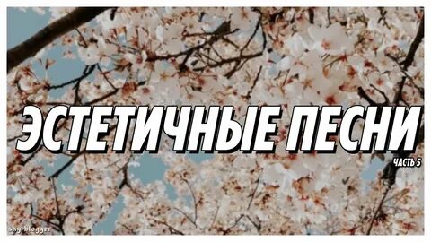 Эстетичные названия для канала в тг