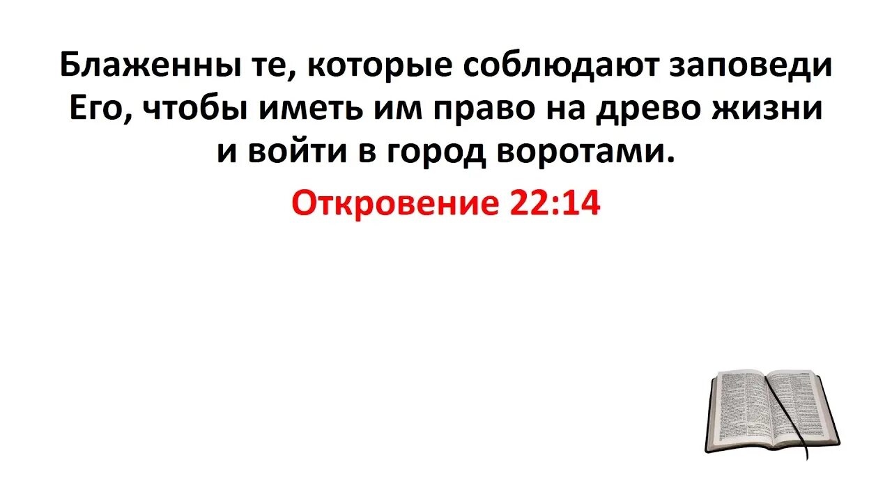 Откровение 22 глава. Блаженны те которые соблюдают заповеди его. откровение 14 глава библия. откровение высказывания. откровение 22:14.