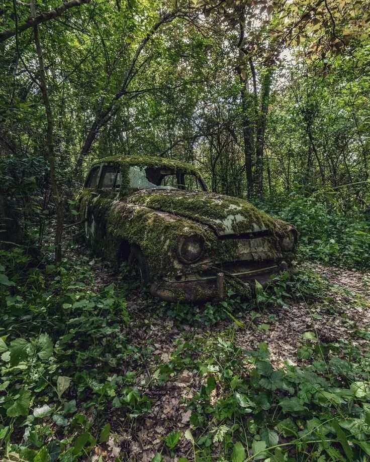 Места заброшенных машин. Места заброшенных машин. Автокладбище, арденны, бельгия. Кладбище старых автомобилей. Старые заброшенные автомобили.