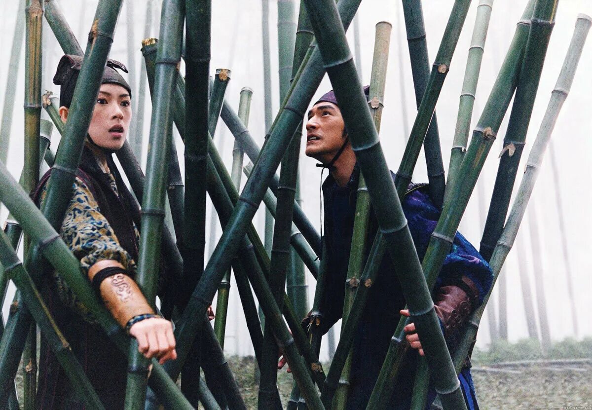 Дом летающих кинжалов фильм 2004. Чжан цзыи дом летающих кинжалов. Дом летающих кинжалов ветер. Дом летающих ножей. Чжан цзыи дом летающих кинжалов.