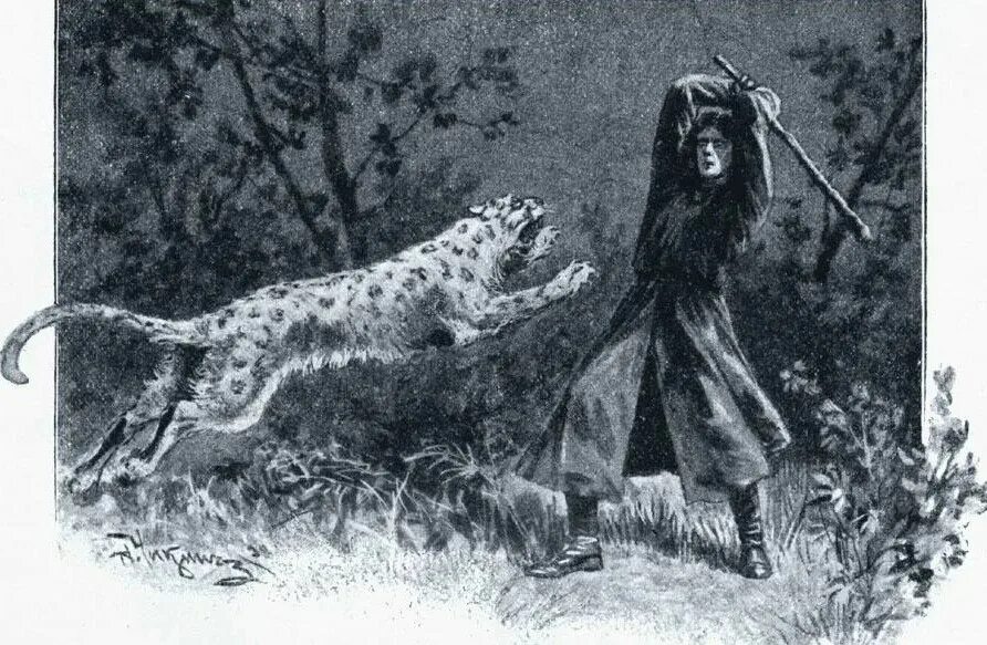 Ю лермонтова. Иллюстрации к мцыри лермонтова. Иллюстрации к мцыри лермонтова. Мцыри битва с барсом иллюстрация. Тоидзе мцыри.