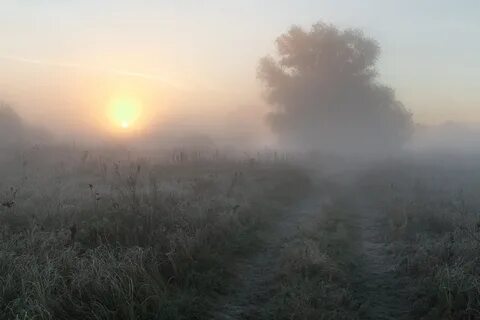 Рассветный туман