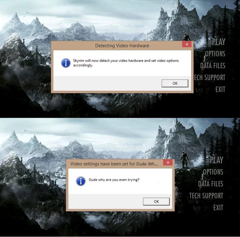 Skyrim will Now detect your Video Hardware and Set Video options accordingly. Skyrim ошибка f1. Скайрим оптионс на русском. Detecting Video Hardware в скайриме.. Почему не открывается лаунчер