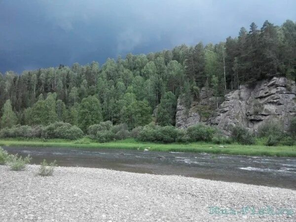 Каз река. Кемеровская область кондома посёлок. Река кондома Прокопьевск. Кондома в Прокопьевске речка. Река в Калтане Кемеровской области.