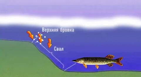 Как бросить приманку
