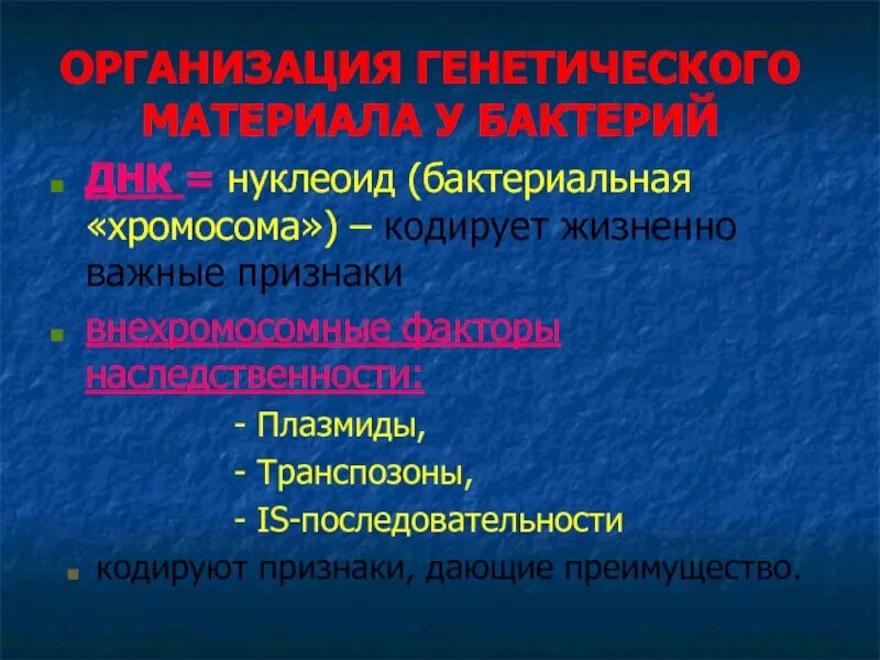 Организация генетического материала у бактерий. Конъюгативные плазмиды. Организация генетического материала у бактерий генотип. Плазмиды и транспозоны. Организация наследственного материала