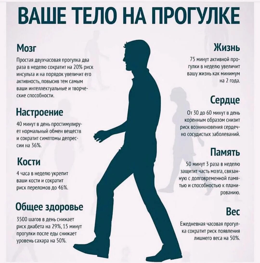 Сколько время надо ходить. Польза ходьбы пешком. Ходьба полезна для здоровья. Прогулки полезны для здоровья. Пешие прогулки полезны для здоровья.