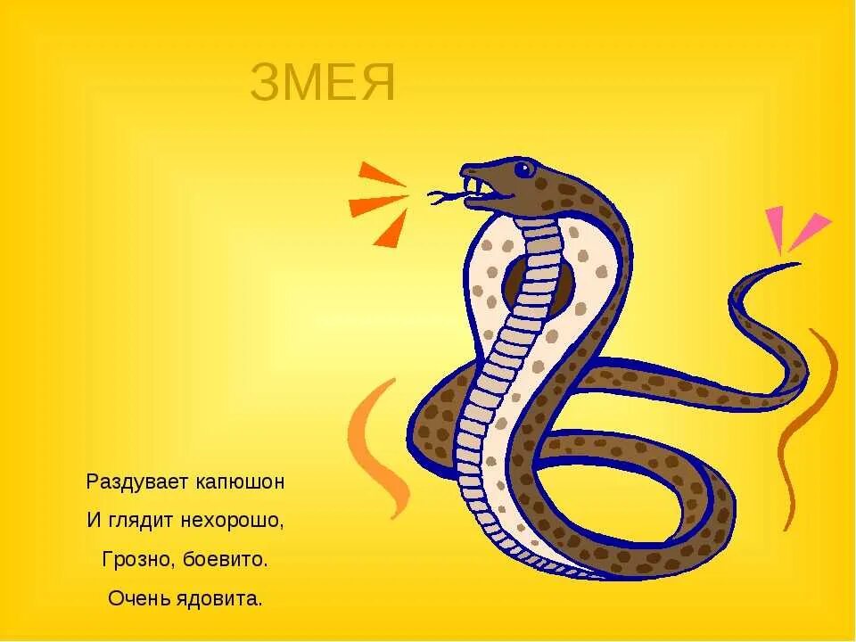 Про змею для детей