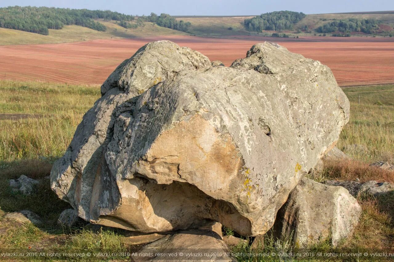 Конь камень красивая меча тульская область. Конь камень ефремовский. Конь-камень в тульской области город ефремов. Каменный конь тульская история. Конь-камень в тульской области легенда.