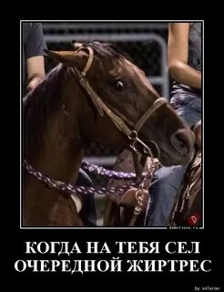 Я сяду на тебя и