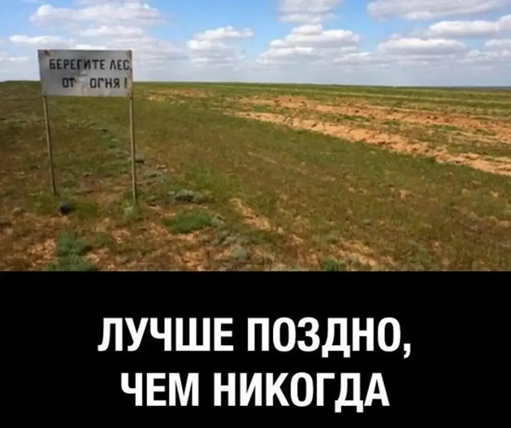Лучше раньше чем никогда. Лучше поздно чем никогда. леса калмыкии. калмыцкий лес. лучше позже чем никогда.