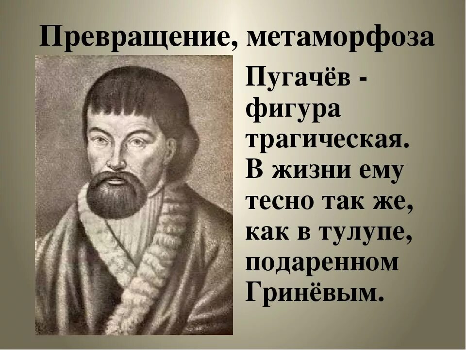 Восстание Пугачева портрет Пугачева. Черты различия пугачева