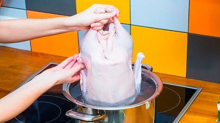 Как быстро и легко ощипать курицу. Как быстро и легко ощипать курицу