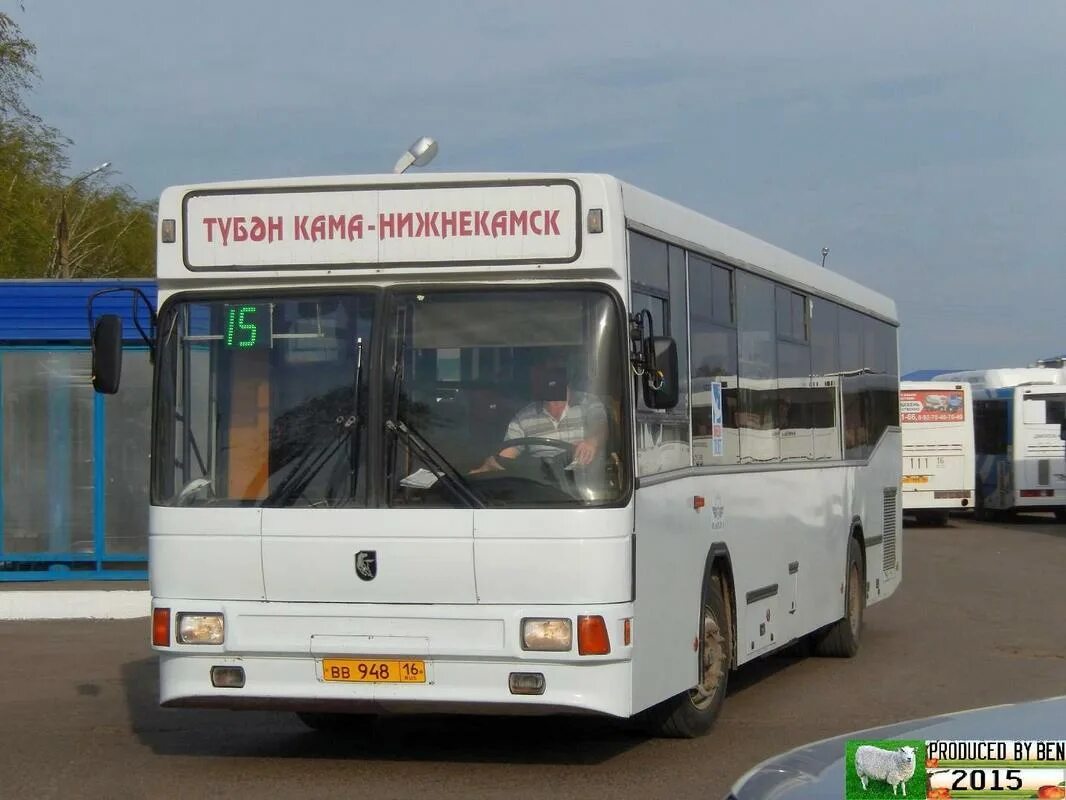 Автобус нижнекамск купить. Автобусы Нижнекамск. 56 Автобус Нижнекамск. 114 Автобус Нижнекамск.