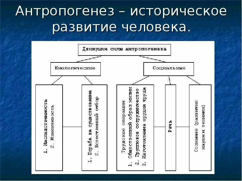 Биологические и социальные факторы эволюции. Факторы антропогенеза биологические и социальные таблица. Движущие силы антропогенеза. Факторы становления человека биология. Биологические и социальные факторы развития.