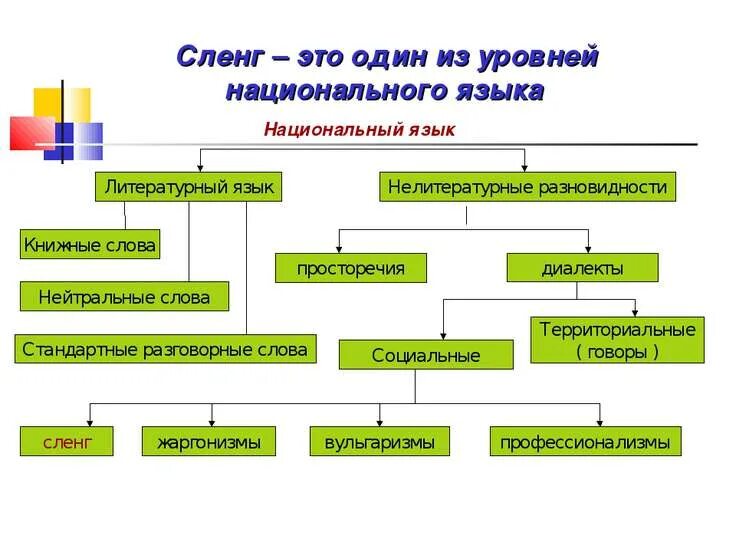 Группы жаргонов. Разновидности сленга. Структура национального языка. Разновидности национального языка. Национальный язык разновидности национального языка.