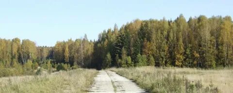 Погода в федосьевке пожарский