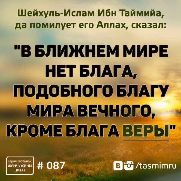 Благо подобный. Ибн Таймийя. Ибн Таймийя Заблудший. Цитаты ибн Таймийя. Ибн Таймийя:суфийзим истина.