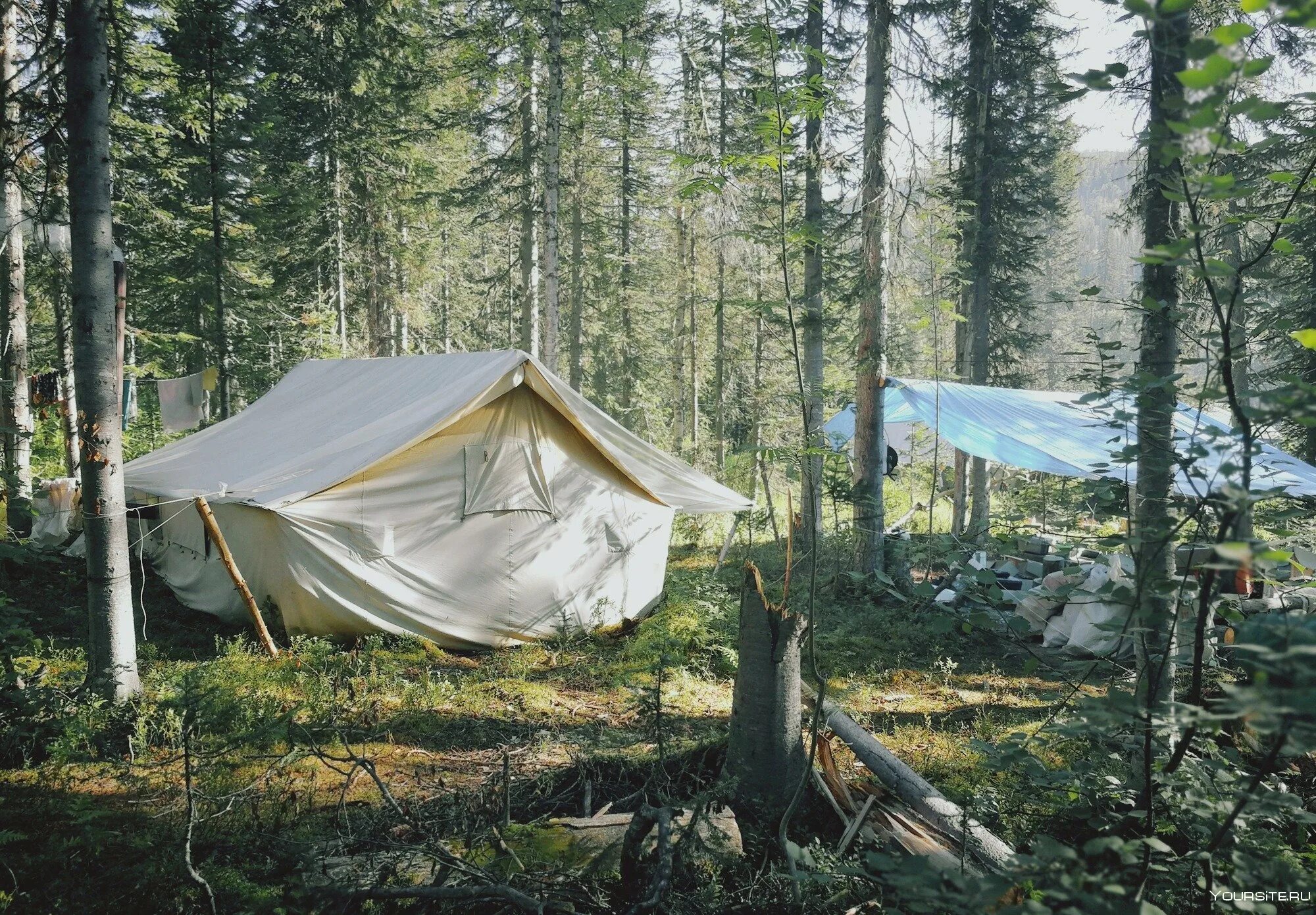 Омск большеуковский лагерь. Лагеря в тайге судьбы людей. Лагерь тайга. Дол тайга лагерь. Геологическая экспедиция тайга красноярск.