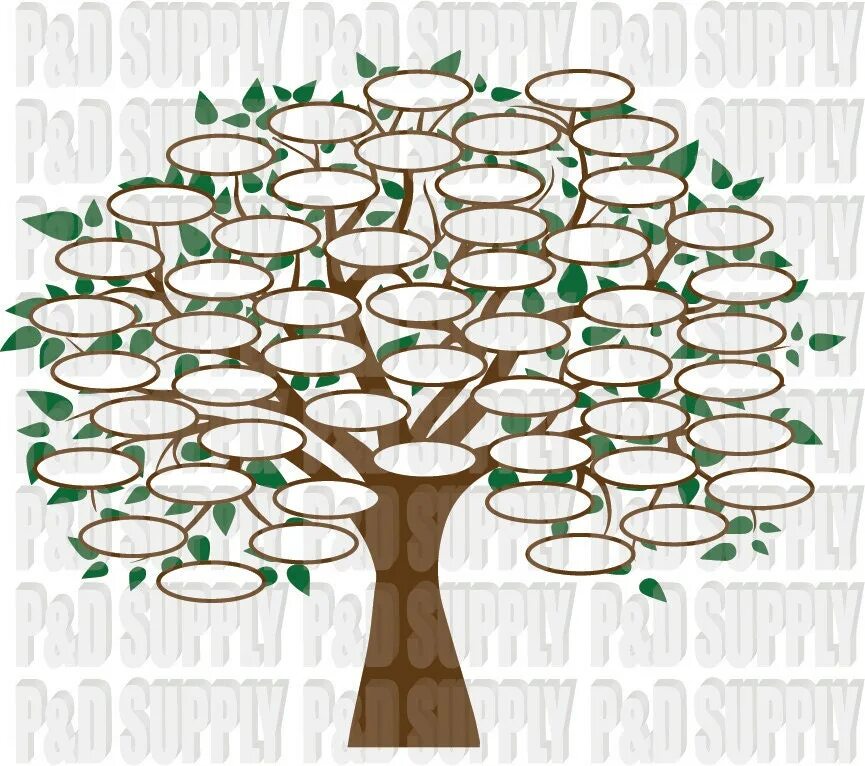 Генетика деревьев. Family Tree svg.