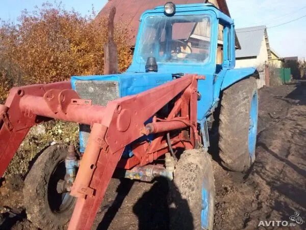 Авито кун мтз башкирия. Продается кун 10.