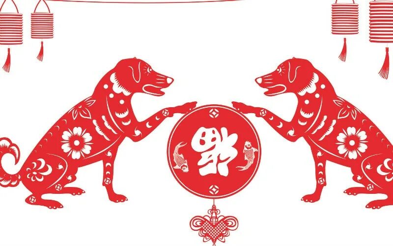 Год китайской собаки. 1982 Год собаки. Год собаки 2030 2018. Год собаки / the year of the Dog (2022). Chinese year of the Dog the Chinese Zodiac Chinese.
