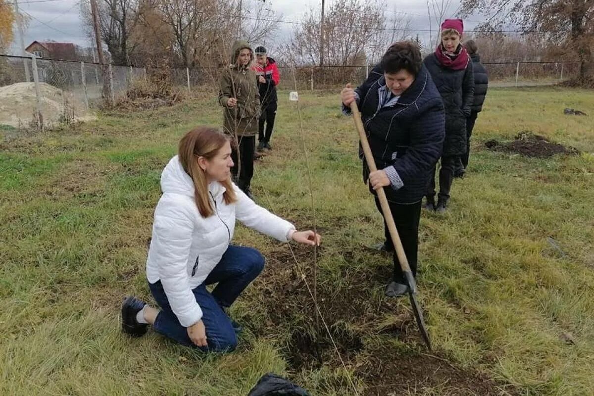 В ряд высадили 12 деревьев. Алгасовская больница Моршанского района. Молодёжный Моршанского района. АЛГАСОВСКИЙ сельсовет Моршанского района. Алгасовская СОШ Моршанский район.