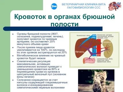 Физиологические патологии