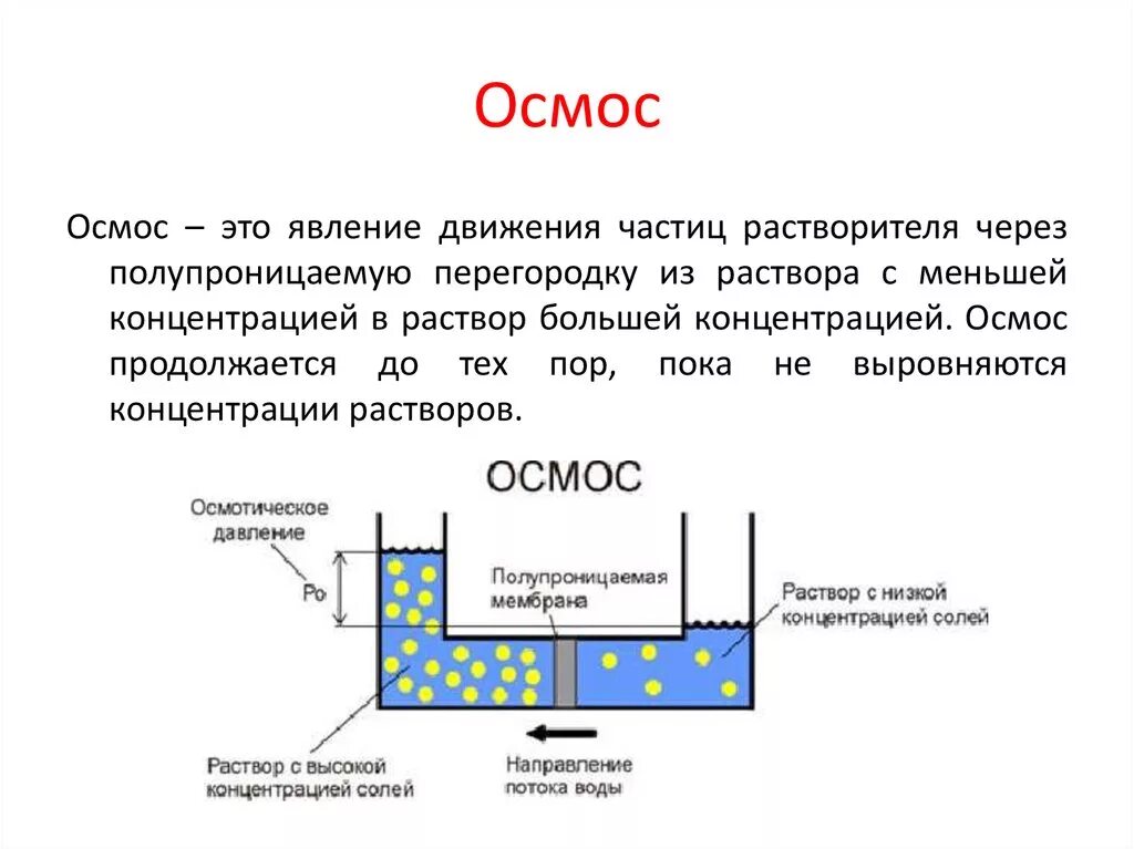 Осмос схема процесса. Осмос и обратный осмос схема процесса. Механизм осмоса в химии. Осмос условия протекания процесса.