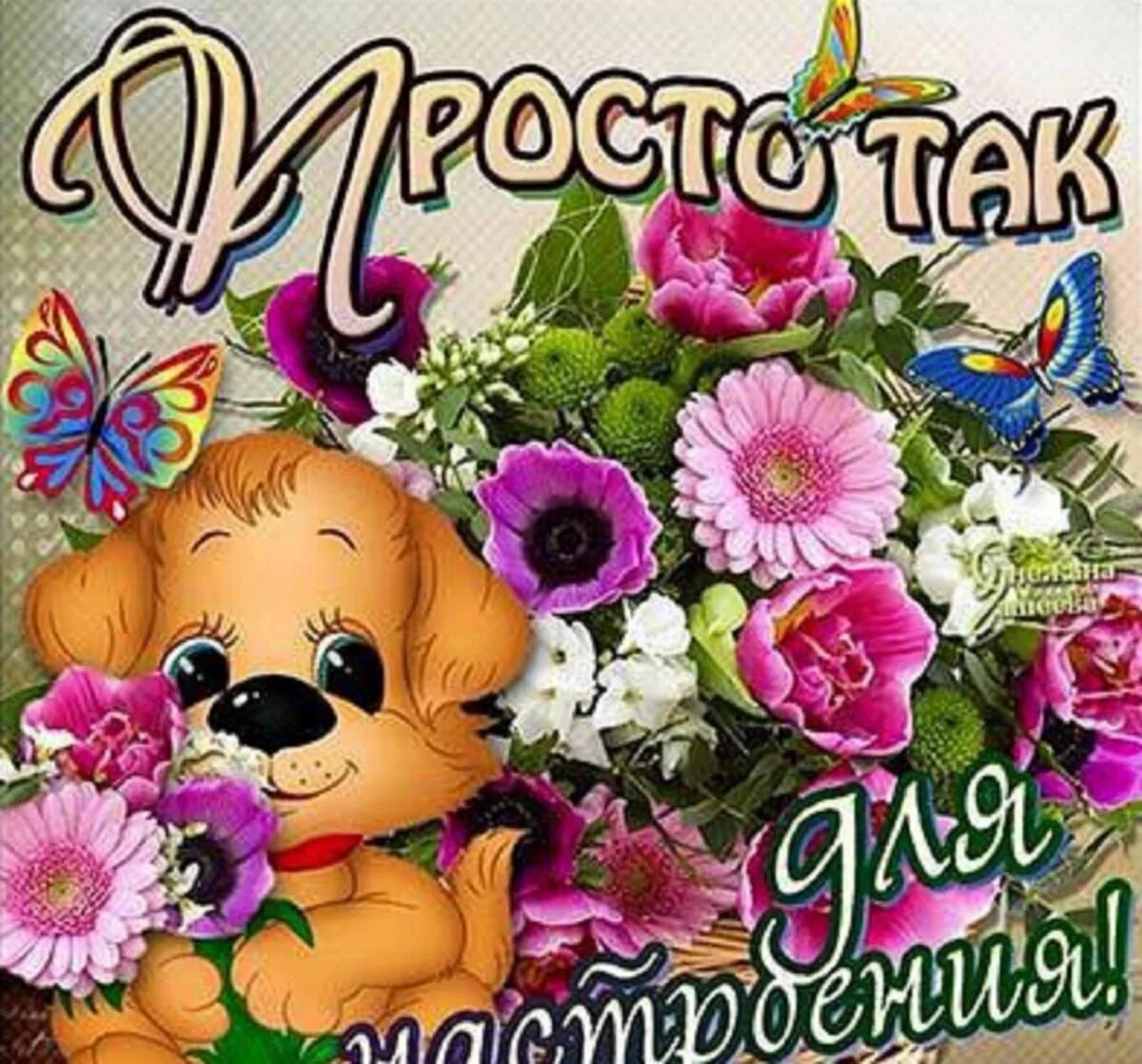 Желаем девушку