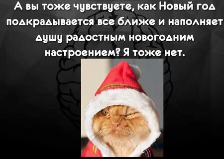 Коротко о разном