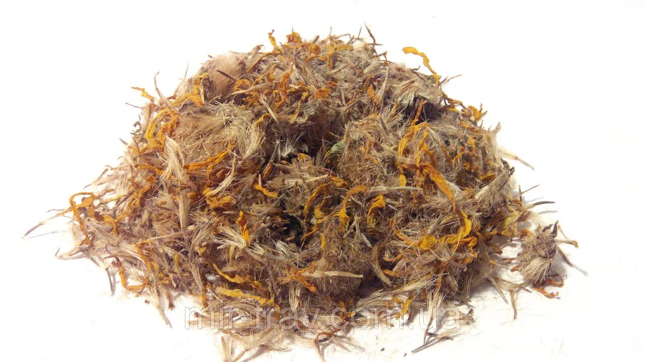 Баранина с травами. Арника олиственная arnica foliosa. Блюда за 15 минут. Арника сахалинская. Баранья трава 6.