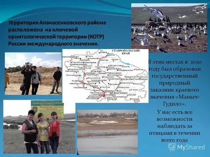 Погода с рагули на неделю
