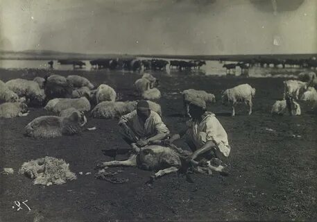 Село казы