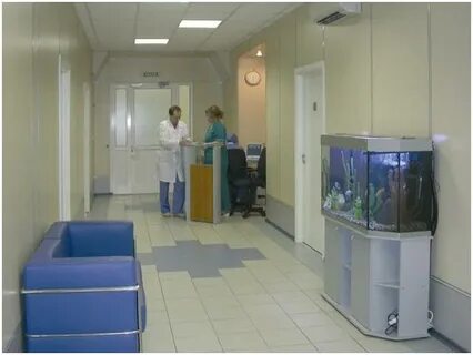 Северо западный эндокринологии в санкт петербурге