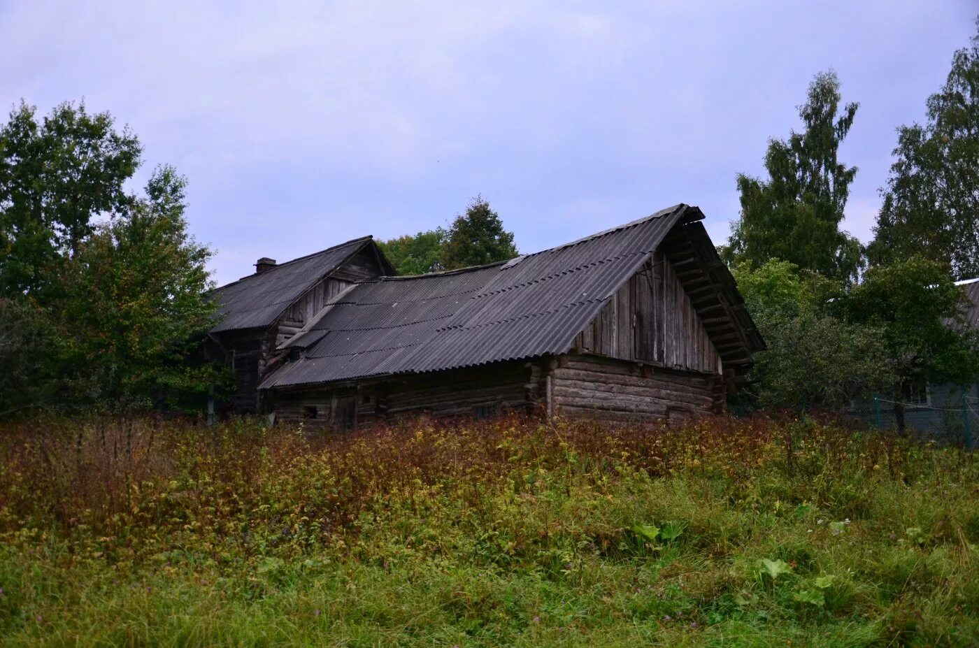 красный бор новгородская область холмский район. поселок кировский боровичского района новгородской. без новгородская область. деревня вельё новгородской обл. заброшенные деревни новгородской области боровичского района.