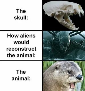 According to its