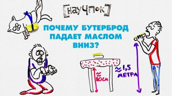 Почему бутерброд падает маслом вниз. Бутерброд упал маслом вниз. бутерброд падает маслом вниз закон. почему бутерброд падает. почему бутерброд всегда падает маслом вниз.